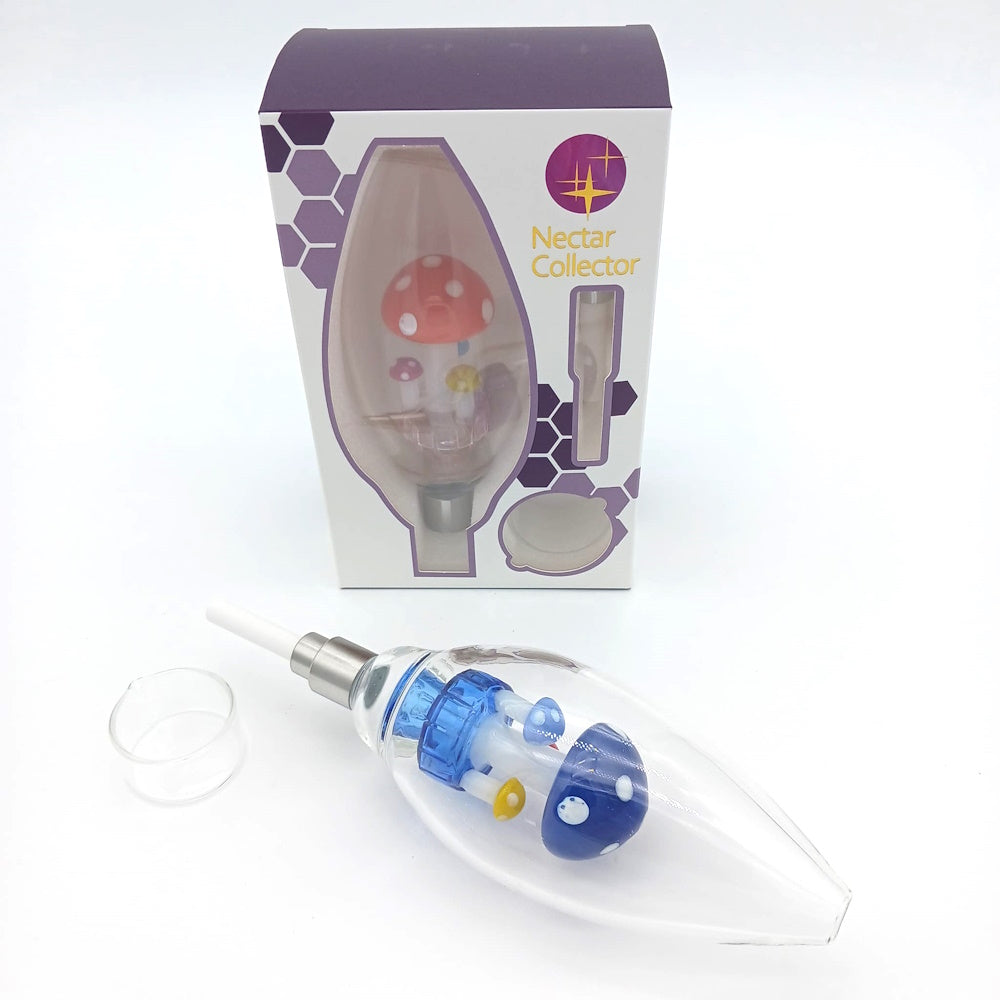 Oval Shape With Mushroom Design NC Kit with Ceramic Nail