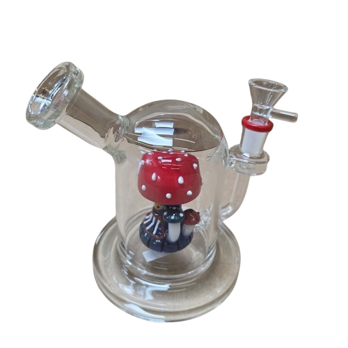 Thick mushroom percolate water pipe